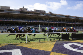 Breeders’ Cup 2025 - News, Results And Entries | Daily Racing Form